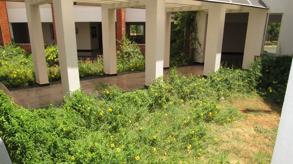 Government Conduct training programs